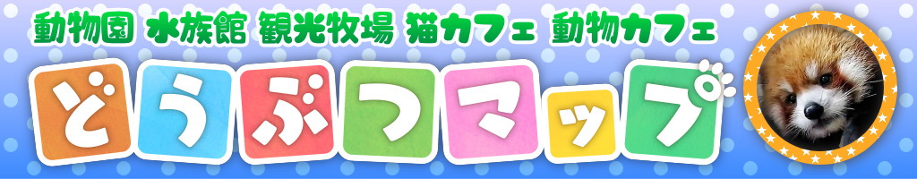 動物園、水族館、観光牧場、猫カフェ、動物カフェの情報と楽しい動画！🐾YouTubeチャンネル「どうぶつマップ」の公式サイトです🐾